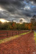 Colorful and beautiful horse track with the fence, among the trees, under the cloudy sky, in Campbell, USA