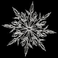 ice crystal snowflake