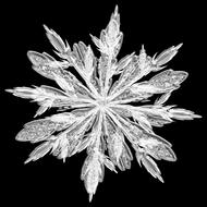 photo of a snowflake crystal