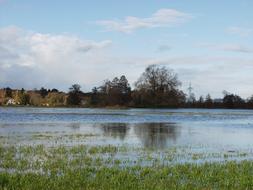 flood in the meadow on a cloudy day