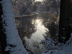 frosted trees mirroring on water