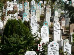 Cemetery Grave Stones mevlana