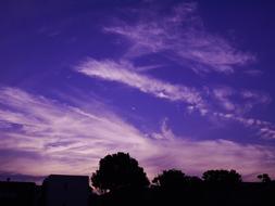 purple evening over black silhouettes