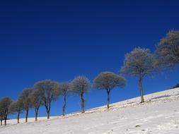 Ice Hoarfrost Cold meadow