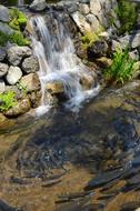 Beautiful waterfall of the beautiful pond, with fish, among the stones and plants