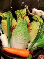 Chinese Cabbage and Carrot and Leek