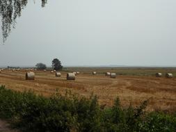 Hay Straw Bales on Fields