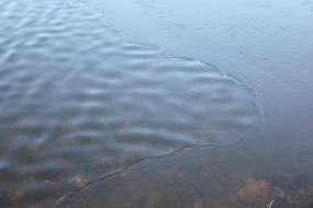 Beautiful water surface with ice, with ripple, in winter