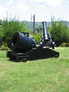 Cannon Old Weapons green grass