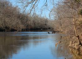 Beautiful landscape of the river, with the reflections of the colorful plants on the shore, in the winter, under the blue sky