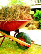 Wheelbarrow In The Open Air