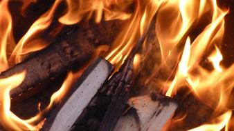 Wood in the beautiful, bright, gradient fire