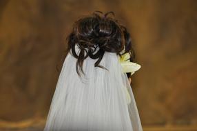 wedding veil on the head of the bride