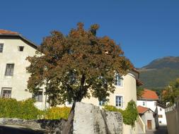 photo of the castle in Tyrol