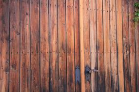 doors in a wooden fence