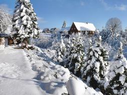 winter landscape of the village of Saupsdorf