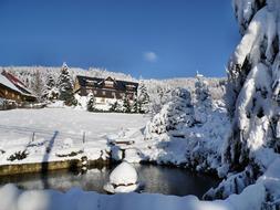 Winter Pond in Tannenhof