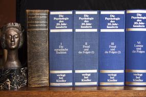 Beautiful old books and statue, on the wooden shelf, in the library