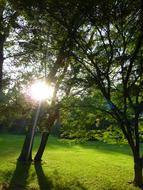 Green Somme Park sun