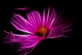 filigree l artwork pink flower