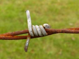 Barbed Wire Rusty iron