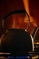 Hot Water Guan teapot