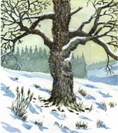 watercolor drawing of a tree on a hill in winter
