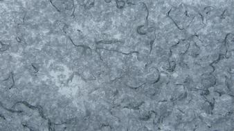 frozen surface, greyscale