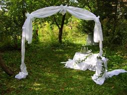 Beautiful, white wedding decorations among the green plants