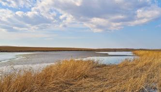 Beautiful landscape of the lake, among the yellow reeds, under the blue sky with clouds