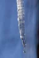 Ice Icicle Cold close-up on blurred background