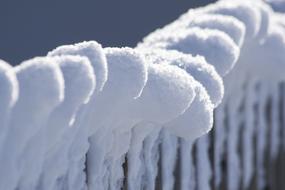 winter magic on the fence close up