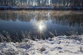 Beautiful, snowy shores of Danube with snow and plants in light