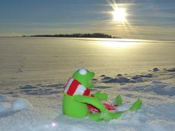 Cute, green Kermit frog among the snow and beautiful evening Sun