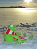 Kermit frog Snow Winter Cold Evening