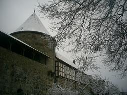 Burg Herzberg Winter Snow tree
