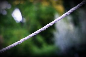 Rope Hanging on a blurred background
