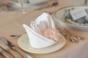 impressively beautiful Napkin Flower