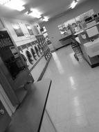monochrome photo of laundry