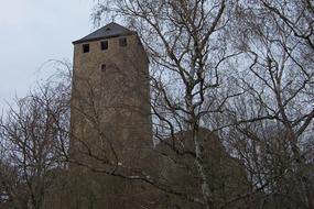 Lichtenberg Castle tower behind bare trees at dusk, germany