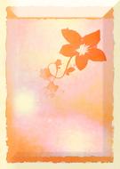 goodly stationery flora paper drawing