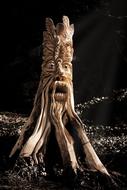 Art Carved tree face