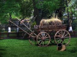 straw in a cart in a park in Turkey