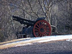 Cannon Gun forest