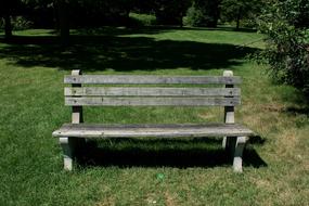 photo of empty wooden Bench in Park