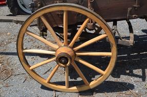 wooden Wagon Wheel Spoke