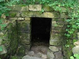 Beautiful, old, stone doorway in the green moss, vines and other plants