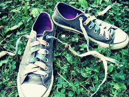 Shoes Sneakers green grass