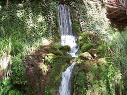 Fountane Waterfall forest