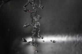 Black and white photo with the close-up of the beautiful, shiny water drops, at blurred background